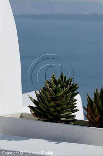 GRECIA - GREECE - Isole Cicladi - Santorini - Oia (La)