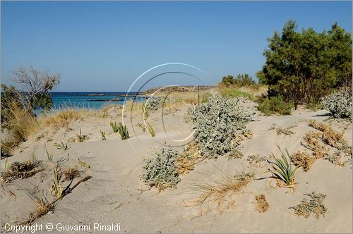 GRECIA - GREECE - Isola di Creta (Crete) - Isoletta di Elafonisos sulla costa sudoccidentale di Creta