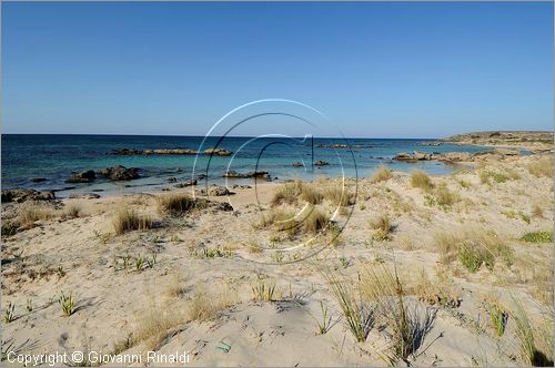 GRECIA - GREECE - Isola di Creta (Crete) - Isoletta di Elafonisos sulla costa sudoccidentale di Creta