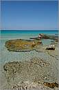 creta_falasarna_11X_4290mini.jpg
