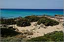 creta_falasarna_11X_4323mini.jpg