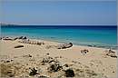 creta_falasarna_11X_4336mini.jpg