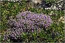 creta_vroulias_11X_4503mini.jpg