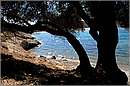 agatonissi_11X_9841mini.jpg