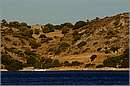agatonissi_11X_9861mini.jpg
