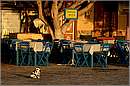 halki_11X_7902mini.jpg