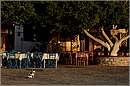 halki_11X_7905mini.jpg