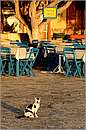 halki_11X_7909mini.jpg