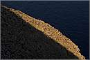 halki_11X_8038mini.jpg