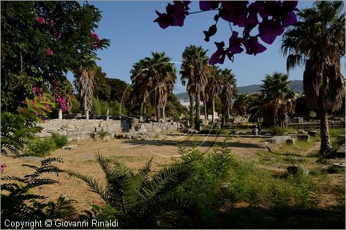 GRECIA - GREECE - Isole del Dodecaneso - Dodecanese Islands - Isola di Kos - Kos città - Zona archeologica orientale