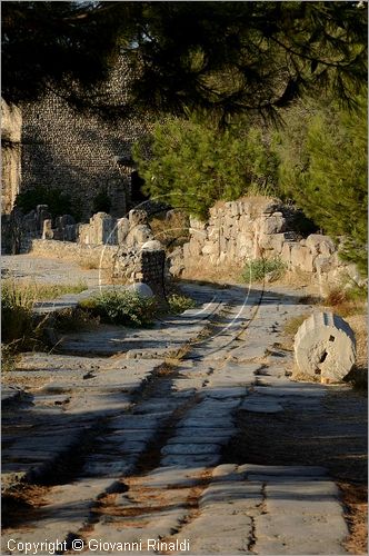 GRECIA - GREECE - Isole del Dodecaneso - Dodecanese Islands - Isola di Kos - Kos citt - Zona archeologica occidentale