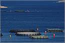 leros_11X_8963mini.jpg