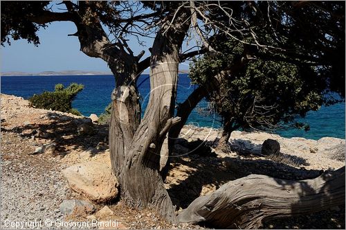 GRECIA - GREECE - Isole del Dodecaneso - Dodecanese Islands - Isola di Lipsi - Lipsos - Leipsi - costa nord