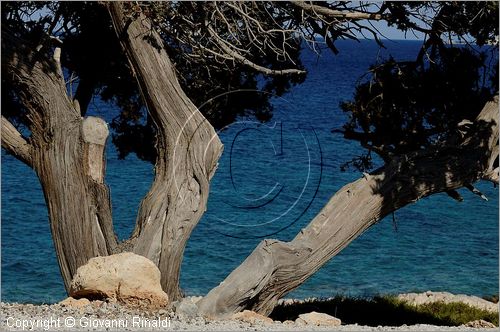 GRECIA - GREECE - Isole del Dodecaneso - Dodecanese Islands - Isola di Lipsi - Lipsos - Leipsi - costa nord