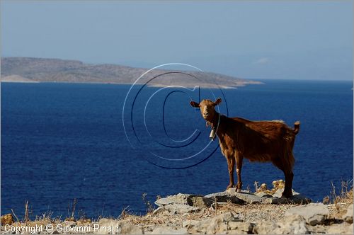 GRECIA - GREECE - Isole del Dodecaneso - Dodecanese Islands - Isola di Lipsi - Lipsos - Leipsi - costa nord orientale