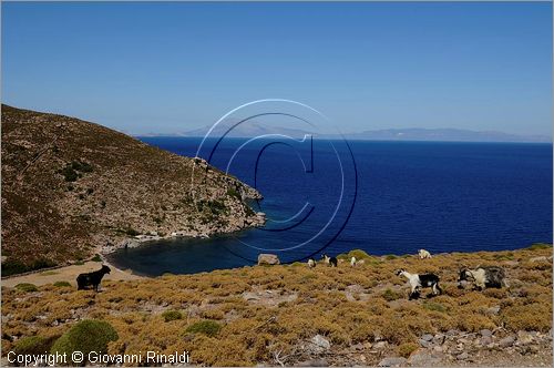 GRECIA - GREECE - Isole del Dodecaneso - Dodecanese Islands - Isola di Patmos - vista sulla costa nord da Kambos  ad Aghios Nikolaos