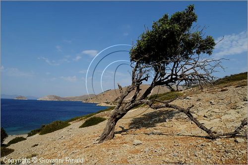 GRECIA - GREECE - Isole del Dodecaneso - Dodecanese Islands - Isola di Simi - Symi - Costa tra la baia di Skomisa e la baia di Toli