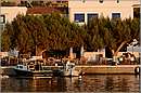 tilos_11X_8209mini.jpg