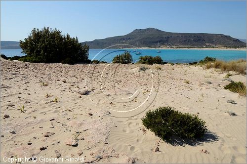 GRECIA - GREECE - Ionio Meridionale - Isola di Elafonisos - costa sud - Ormos Sarakiniko