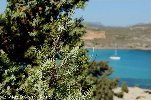 GRECIA - GREECE - Ionio Meridionale - Isola di Elafonisos - costa sud - Ormos Frangos