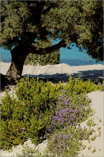 GRECIA - GREECE - Ionio Meridionale - Isola di Elafonisos - costa sud - Ormos Frangos