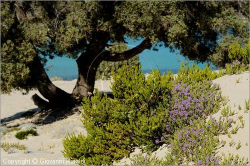 GRECIA - GREECE - Ionio Meridionale - Isola di Elafonisos - costa sud - Ormos Frangos