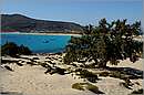 elafonisos_11X_3219mini.jpg