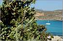 elafonisos_11X_3271mini.jpg