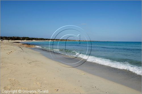 GRECIA - GREECE - Isola di Gaidouronisi detta Chrissi Island (Mar Libico a sud di Creta di fronte a Ierapetra)