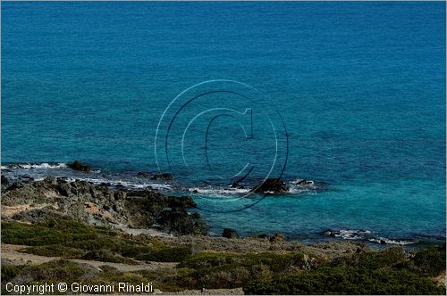 GRECIA - GREECE - Isola di Gaidouronisi detta Chrissi Island (Mar Libico a sud di Creta di fronte a Ierapetra)
