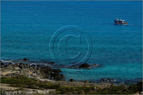 GRECIA - GREECE - Isola di Gaidouronisi detta Chrissi Island (Mar Libico a sud di Creta di fronte a Ierapetra)