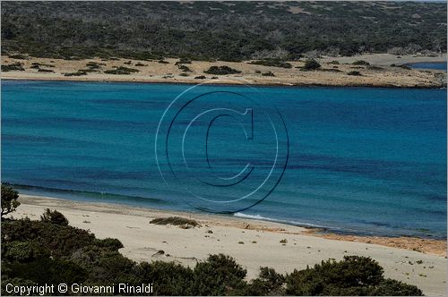 GRECIA - GREECE - Isola di Gaidouronisi detta Chrissi Island (Mar Libico a sud di Creta di fronte a Ierapetra)