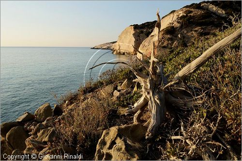 GRECIA - GREECE - Isola di Gavdos (Mar Libico a sud di Creta) - costa sud-est - Lakkoudi