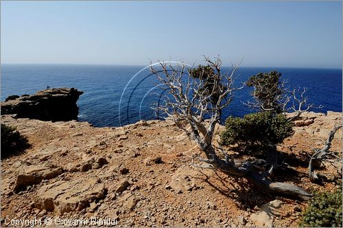 GRECIA - GREECE - Isola di Gavdos (Mar Libico a sud di Creta) - costa sud - Capo Tripiti (il posto pi a sud d'europa)