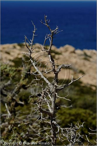 GRECIA - GREECE - Isola di Gavdos (Mar Libico a sud di Creta) - Fokospilio