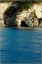 antipaxos_11X_1210mini.jpg
