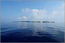 antipaxos_11X_1233mini.jpg