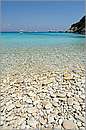 antipaxos_11X_1243mini.jpg
