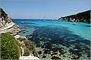 antipaxos_11X_1245mini.jpg