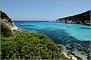 antipaxos_11X_1247mini.jpg