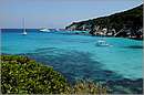 antipaxos_11X_1251mini.jpg