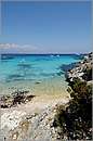 antipaxos_11X_1252mini.jpg