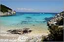antipaxos_11X_1253mini.jpg