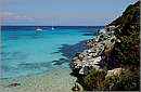 antipaxos_11X_1255mini.jpg