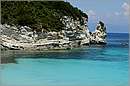 antipaxos_11X_1257mini.jpg