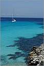 antipaxos_11X_1259mini.jpg