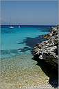 antipaxos_11X_1263mini.jpg