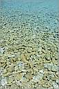 antipaxos_11X_1265mini.jpg