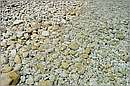 antipaxos_11X_1266mini.jpg