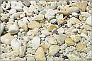 antipaxos_11X_1267mini.jpg